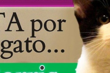 Cansado de votar por ratas? VOTA por un gato! Tired of voting for rats? Vote for a cat!